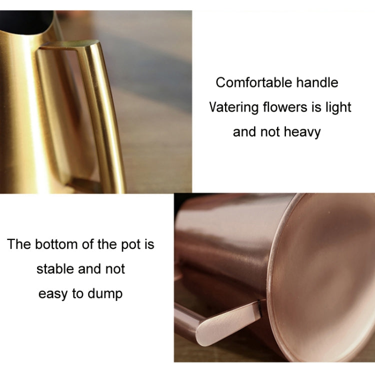 Household Gardening Stainless Steel Long Spout Watering Pot, Size: